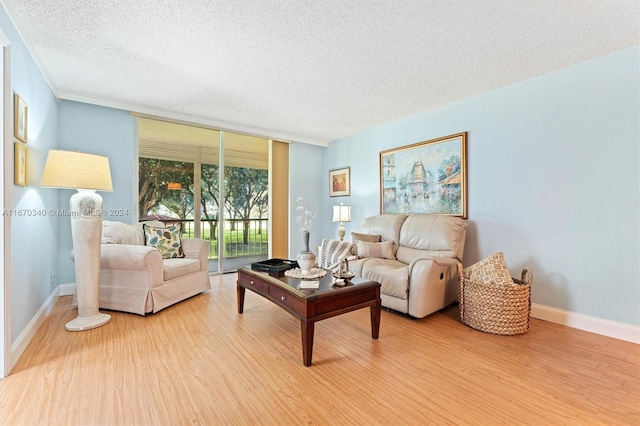 living room featuring light wood-type flooring and a textured ceiling