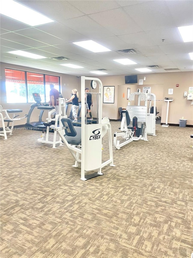 exercise room featuring carpet and a paneled ceiling