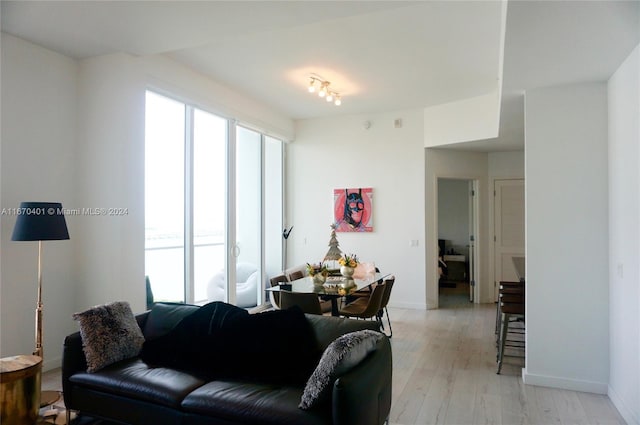 living room with light wood-type flooring