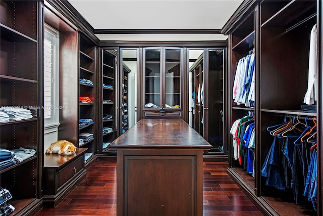 spacious closet featuring dark hardwood / wood-style floors