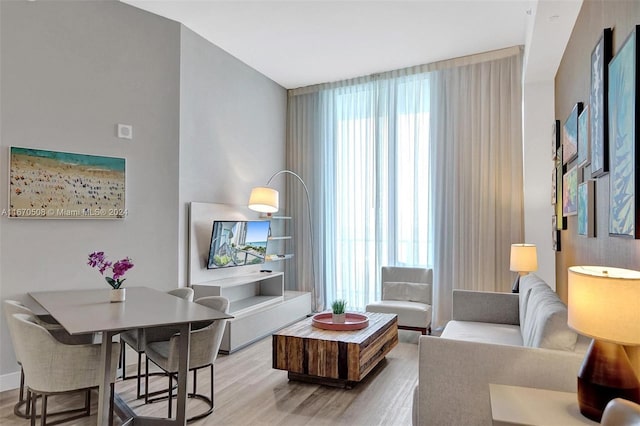 living room featuring light hardwood / wood-style flooring and a wealth of natural light