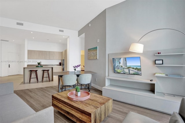 living room featuring light hardwood / wood-style floors