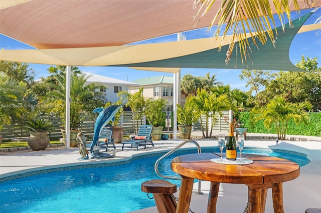 view of pool featuring a patio