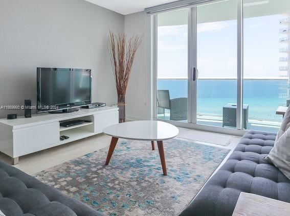 living room with plenty of natural light