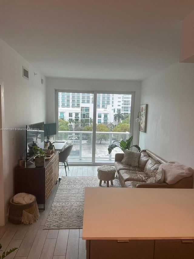 living room featuring light hardwood / wood-style flooring