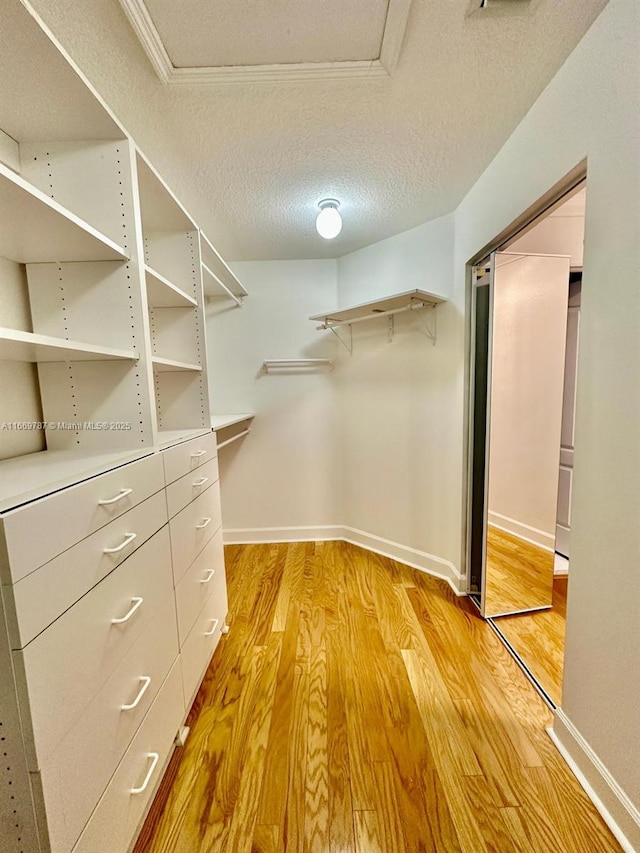 spacious closet with light hardwood / wood-style floors