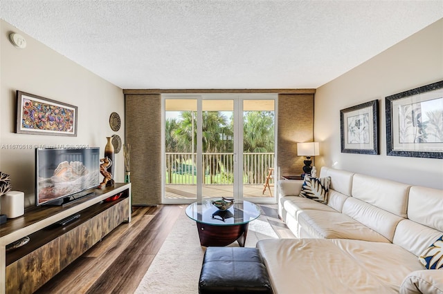 living room with a textured ceiling and dark hardwood / wood-style flooring