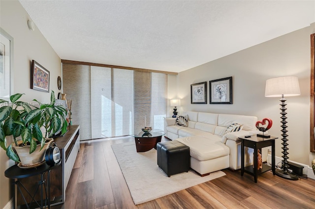 living room with a textured ceiling and wood-type flooring