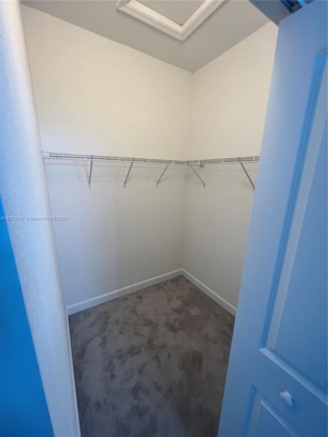 walk in closet featuring dark colored carpet