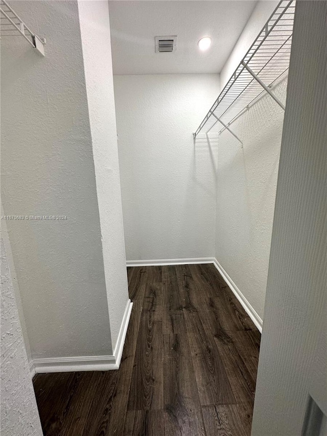 spacious closet with wood-type flooring