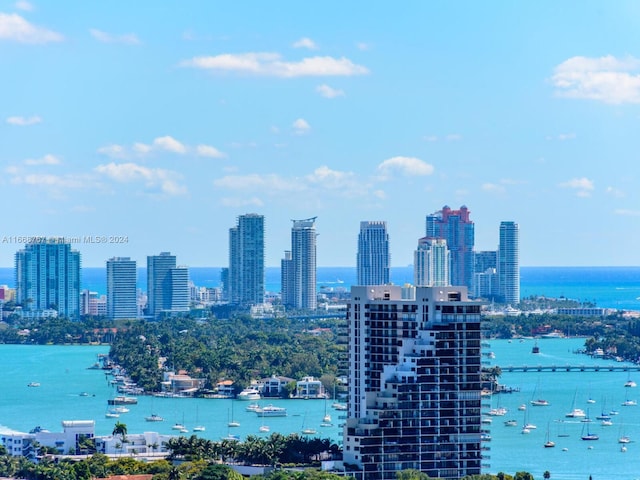 property's view of city with a water view