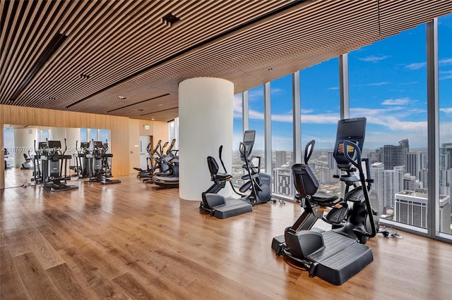 exercise room with floor to ceiling windows and light hardwood / wood-style floors