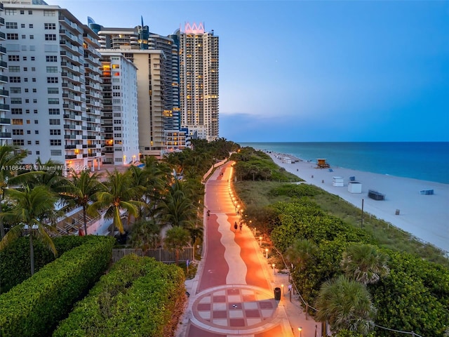 water view with a view of the beach