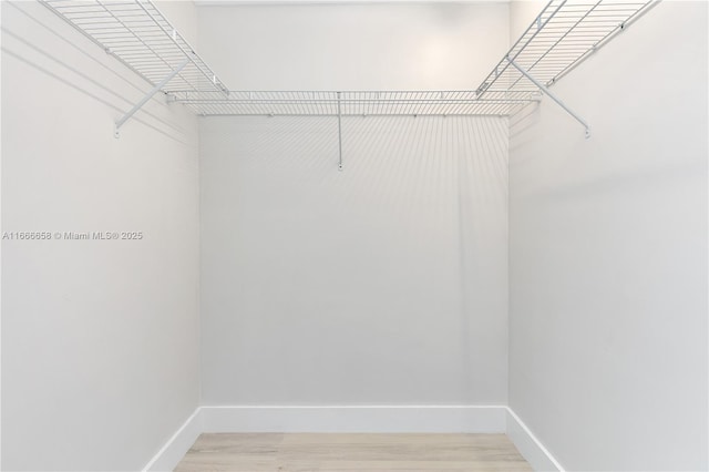 spacious closet featuring hardwood / wood-style flooring