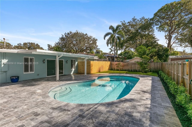 view of swimming pool with a patio