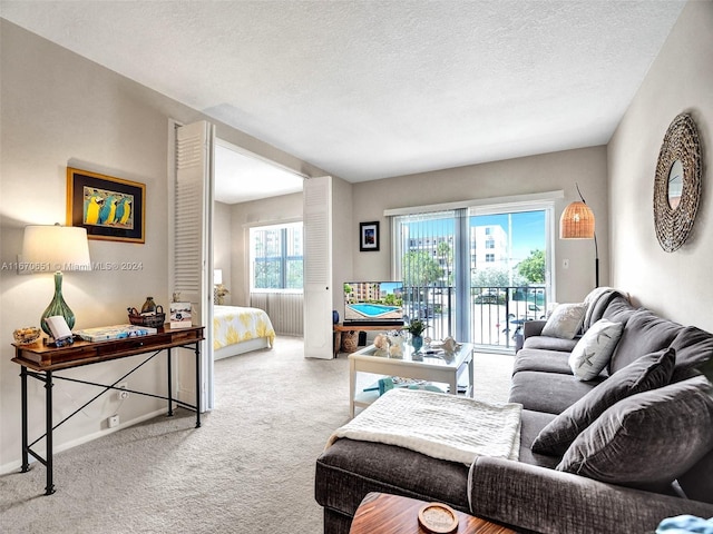 living room featuring a textured ceiling and carpet