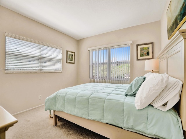 bedroom with carpet flooring