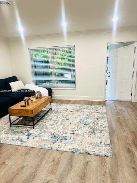 living room with hardwood / wood-style flooring and ornamental molding