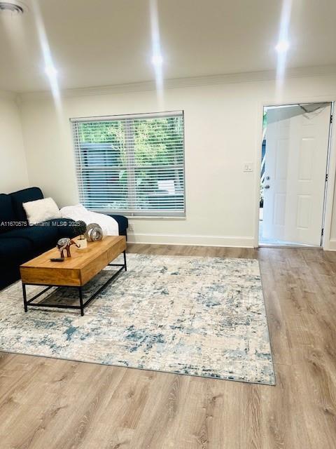 living room with wood-type flooring and crown molding