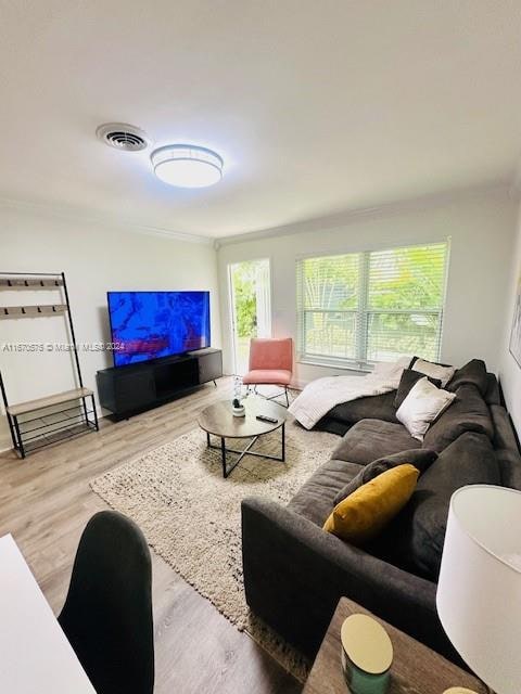 living room featuring light wood-type flooring