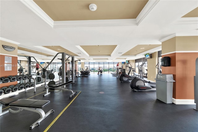 gym featuring ornamental molding and a raised ceiling