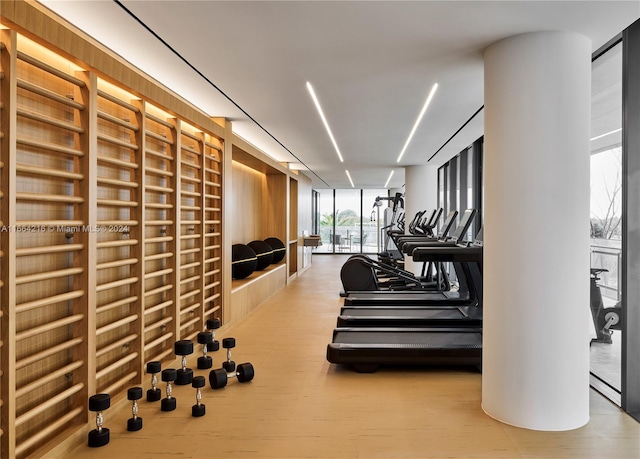 exercise room with light hardwood / wood-style floors and floor to ceiling windows