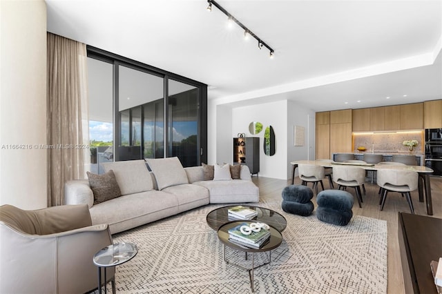 living room with light hardwood / wood-style floors, track lighting, and a wall of windows