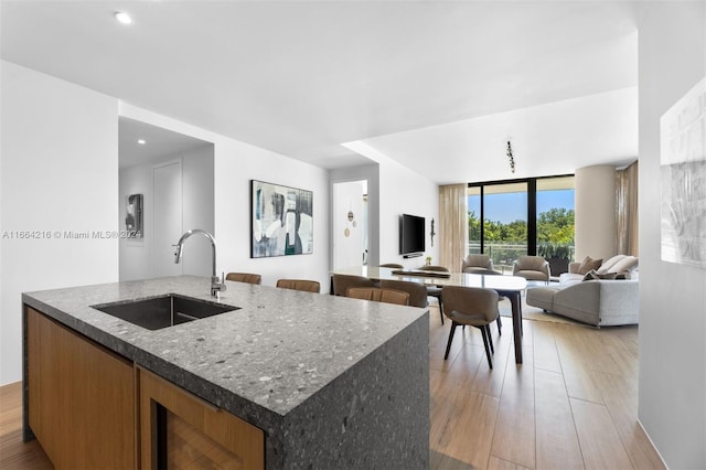 kitchen with light wood-type flooring, stone counters, a kitchen island with sink, and sink