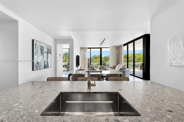 kitchen featuring sink and stone countertops