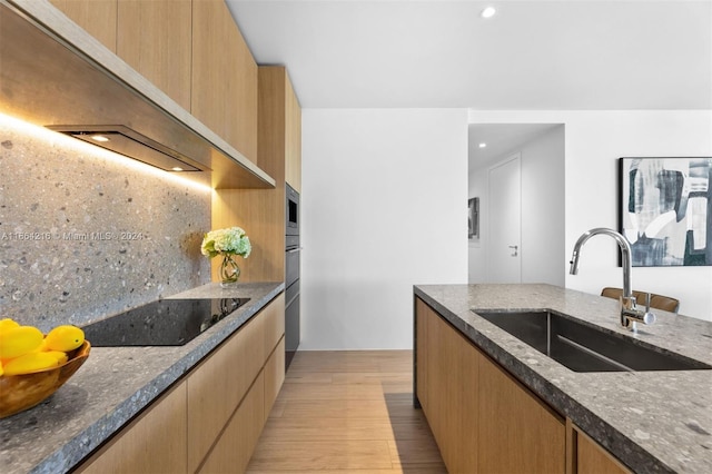 kitchen featuring dark stone countertops, tasteful backsplash, stainless steel appliances, light wood-type flooring, and sink