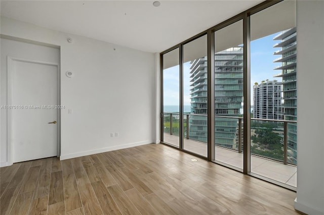 spare room with light hardwood / wood-style flooring and expansive windows