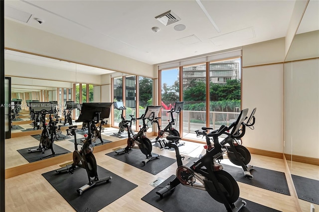 exercise room featuring hardwood / wood-style flooring