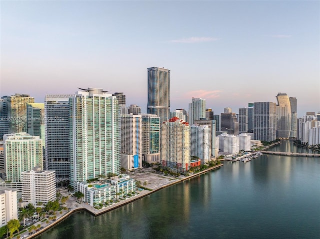 property's view of city with a water view