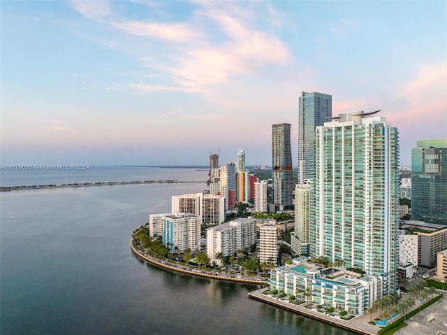 property's view of city with a water view