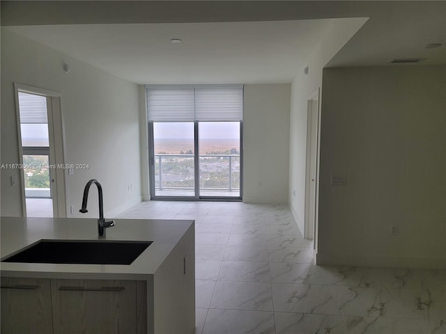 kitchen featuring sink and a healthy amount of sunlight