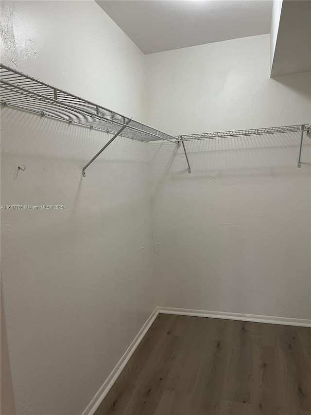 spacious closet featuring wood-type flooring