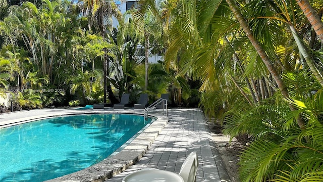 view of swimming pool with a patio