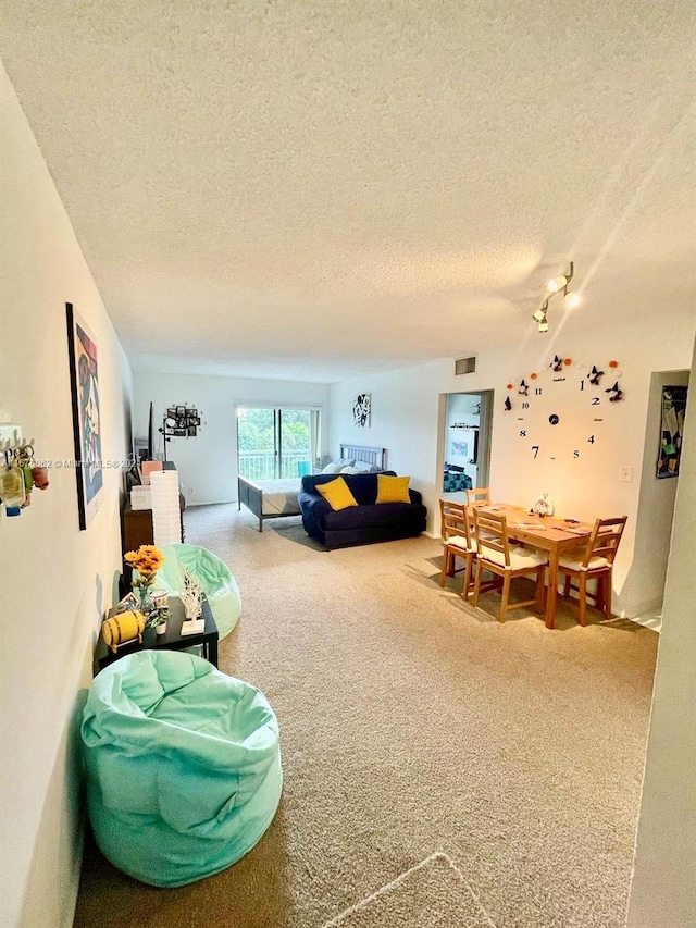 living room with carpet floors and a textured ceiling