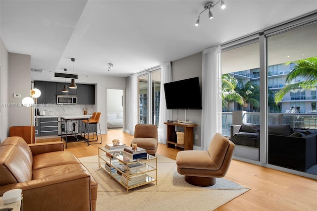 living room featuring light hardwood / wood-style flooring