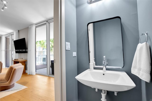 bathroom featuring hardwood / wood-style floors and sink