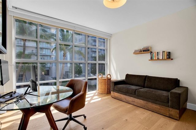 office area with expansive windows, a wealth of natural light, and light hardwood / wood-style flooring