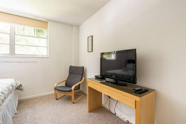 carpeted office featuring a textured ceiling