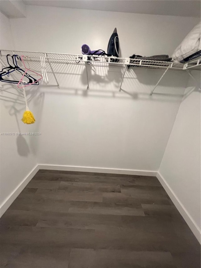 spacious closet featuring dark wood-type flooring