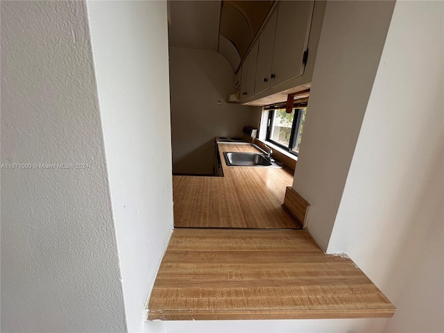 kitchen featuring hardwood / wood-style floors and sink