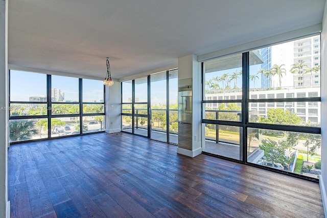 spare room with floor to ceiling windows, dark wood-type flooring, and a wealth of natural light