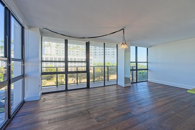 spare room featuring a wealth of natural light, a wall of windows, and dark hardwood / wood-style flooring