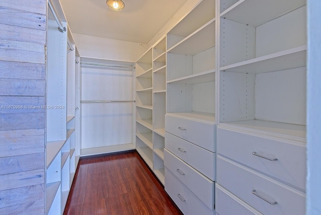 walk in closet with dark hardwood / wood-style floors