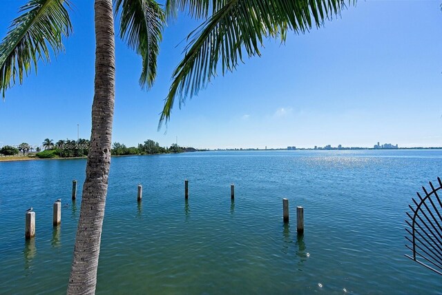 600 NE 36th St Unit 423, Miami, FL 33137 - dock area with a water view