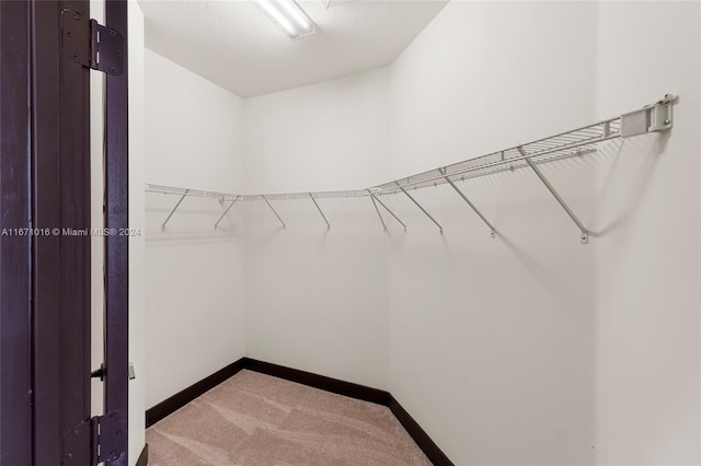 spacious closet with carpet floors