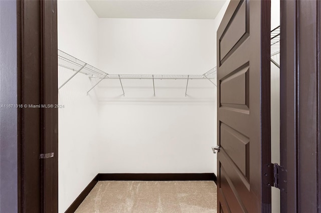 spacious closet with carpet floors